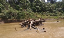 Malaisie // Taman Negara : trek dans la forêt la plus ancienne du monde